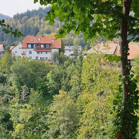 Ferienwohnung Auf Dem Bueckle Kleines Wiesental Exterior photo