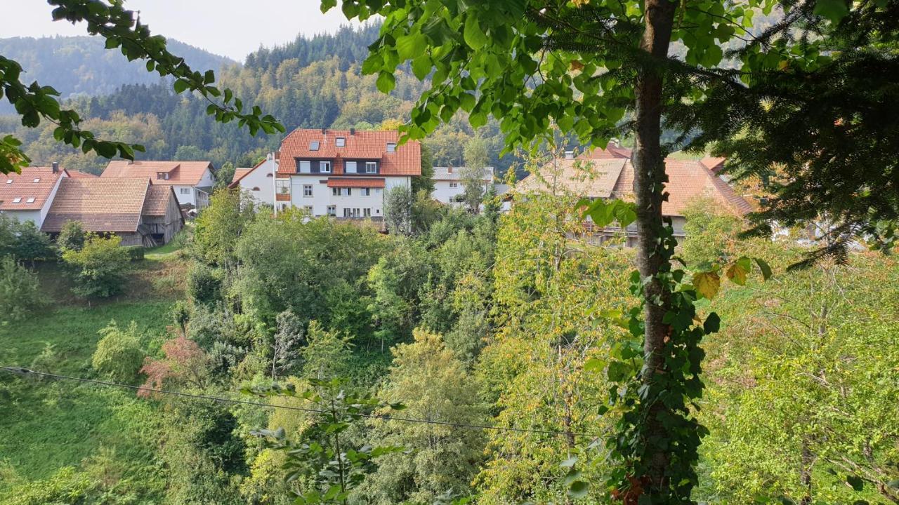 Ferienwohnung Auf Dem Bueckle Kleines Wiesental Exterior photo