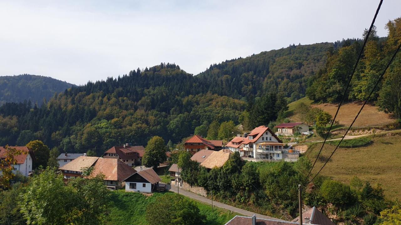 Ferienwohnung Auf Dem Bueckle Kleines Wiesental Exterior photo