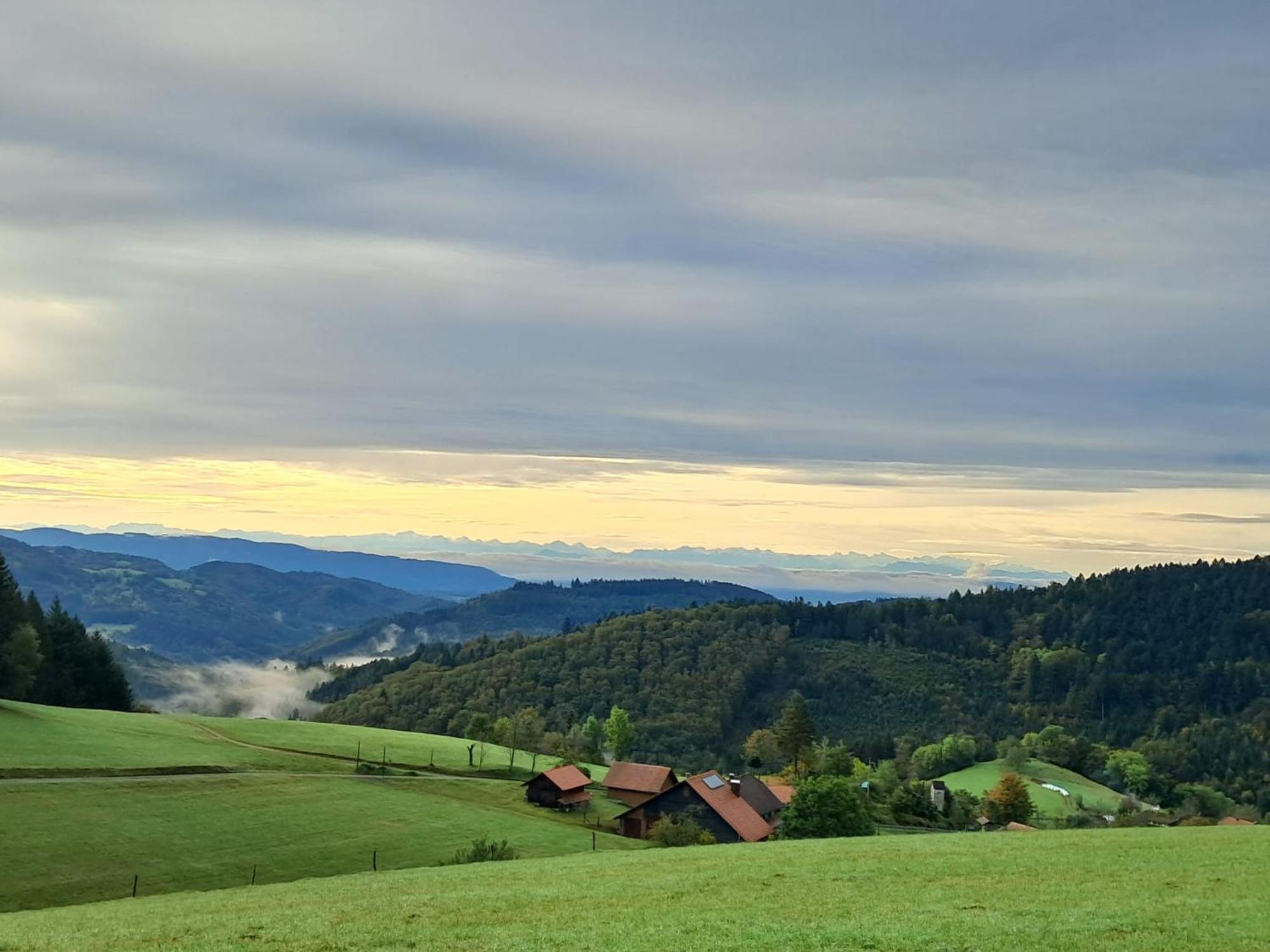Ferienwohnung Auf Dem Bueckle Kleines Wiesental Exterior photo